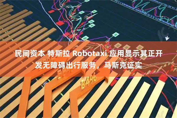 民间资本 特斯拉 Robotaxi 应用显示其正开发无障碍出行服务，马斯克证实