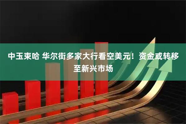 中玉束哈 华尔街多家大行看空美元！资金或转移至新兴市场