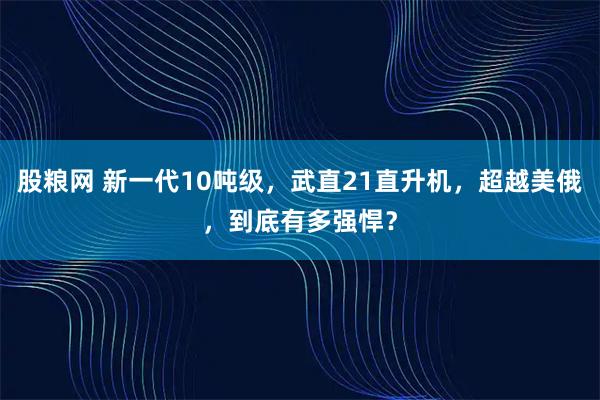 股粮网 新一代10吨级，武直21直升机，超越美俄，到底有多强悍？