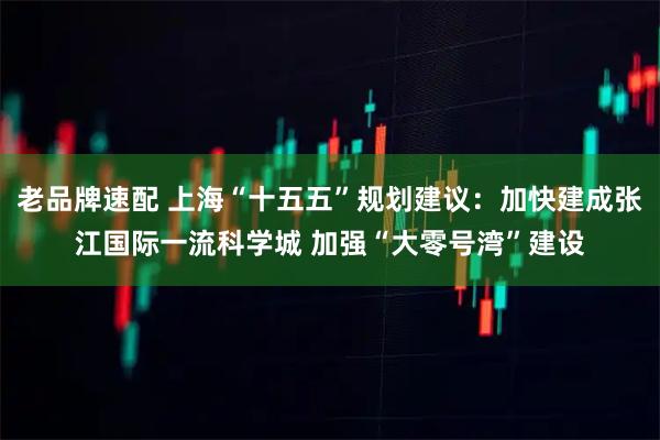老品牌速配 上海“十五五”规划建议：加快建成张江国际一流科学城 加强“大零号湾”建设